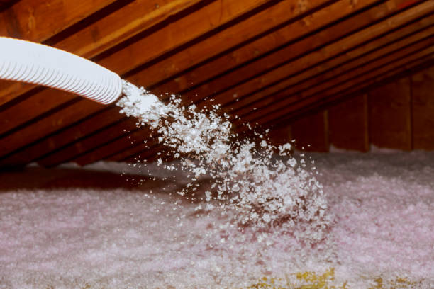 Best Insulation Removal  in Mentone, IN