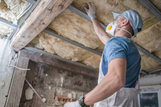 Best Spray Foam Insulation  in Mentone, IN